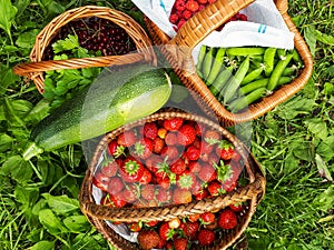 Garden gifts. Strawberries, raspberries, green peas, zucchini, redcurrants and parsley in woden baskets on ground