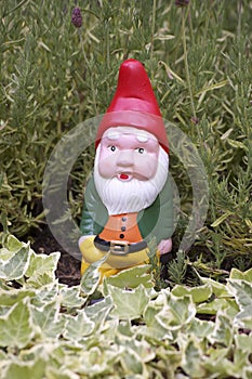 Garden Gnome