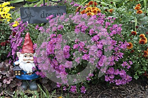 Garden Gnome