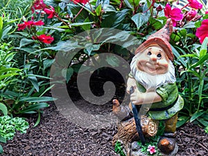 Garden gnome photo