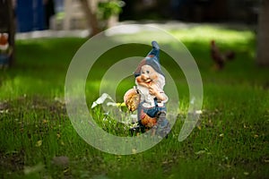 Garden gnome on the lawn