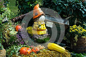 Garden Gnome and Ripe Pumpkins