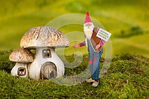 Garden gnome with toadstool