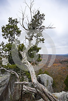 Garden of the gods,Illonois