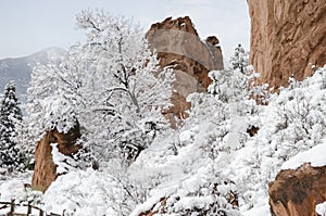 Garden of the Gods Park in Winter