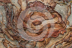 Garden of the Gods Wilderness in Shawnee National Forest