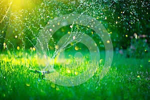 Garden, Grass Watering. Smart garden activated with full automatic sprinkler irrigation system working in a park, watering lawn photo