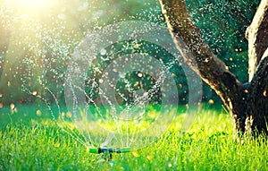 Garden, Grass Watering. Smart garden activated with full automatic sprinkler irrigation system working in a green park, watering l