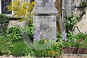 Garden at the Great Hall in Winchester