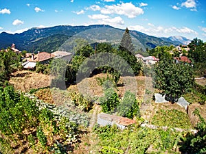 Garden, Greek Mountain Village