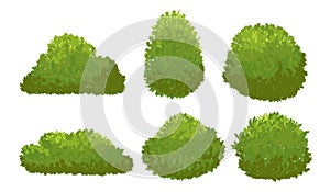 Garden green bushes. Cartoon shrub and bush vector set isolated on white background