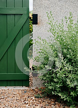 Garden green gate with plant shrub and stone ground