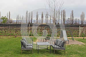 Garden with green grass, outdoor playground, armchairs and chairs. In the background grape plantation