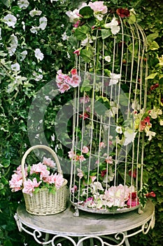 Garden with green hedge forged table and wicker basket on it