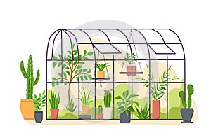 Garden greenhouse. Glass botanical orangery house with cactus and tropical cultivated plants in pots. Cartoon greenery