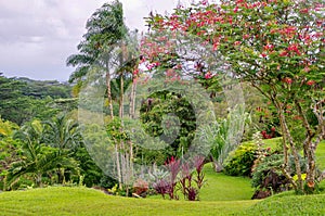 Princeville Botanical Gardens, Kauai, Hawaii, USA photo