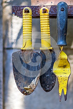 Garden hand tools in the shed