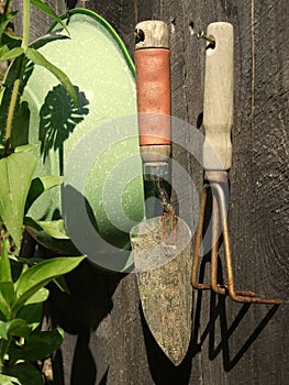 Garden: hand tools on shed wall