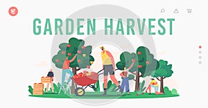 Garden Harvest Landing Page Template. Characters Harvesting Apples in Orchard, Gardeners Collecting Fruit Crop