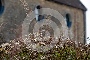 Garden at Hauser & Wirth Gallery named the Oudolf Field, at Durslade Farm, Somerset UK. Designed by landscape artist Piet Oudolf