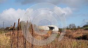 Garden at Hauser & Wirth named the Oudolf Field, Bruton, Somerset UK. Designed by Piet Oudolf. Photographed in autumn.