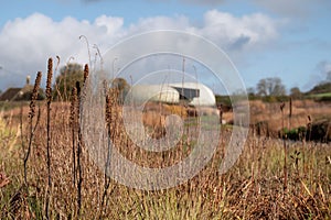 Garden at Hauser & Wirth named the Oudolf Field, Bruton, Somerset UK. Designed by Piet Oudolf. Photographed in autumn.
