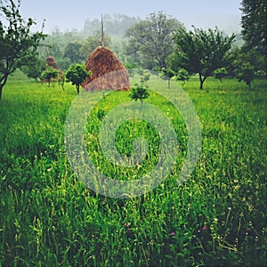 Garden and hay piles