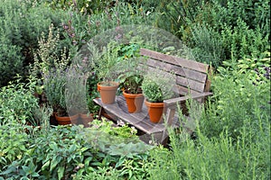 Garden with herbs