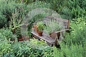 Garden with herbs
