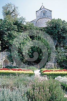 The `Jardin des herbes` - garden of herbs - at the Garde-AdhÃÂ©mar in DrÃÂ´me ProvenÃÂ§ale, France photo