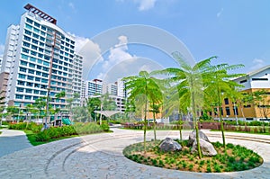 Garden within high-rise residential estate