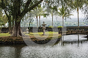 The garden in Hilo, Hawaii