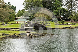 The garden in Hilo, Hawaii