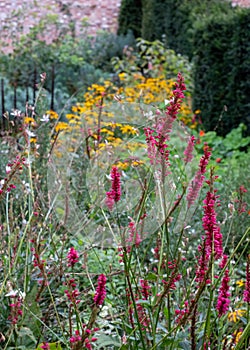 Garden at historic Hadspen House, now The Newt Boutique Hotel near Castle Cary in Somerset, UK.