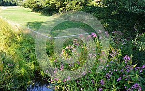 Garden at the Historical Monastery Mariensee, Neustadt am Ruebenberge, Lower Saxony