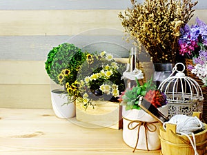 Garden and home decor with accessories for home living and wedding event
