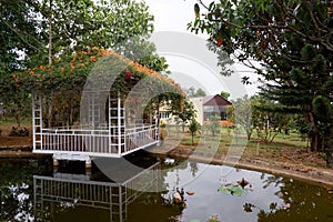 The garden of Homestay in Bao Loc Highland, Vietnam