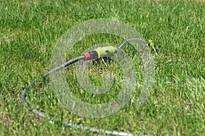 Garden hose