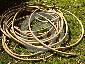 Garden hose