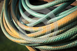 Garden Hose