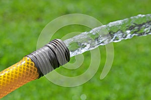 Garden Hose