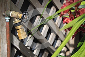 Garden Hose Bib photo