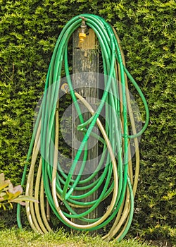 Garden Hose