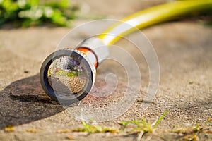 Garden hose on the ground