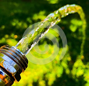 Garden hose irrigating grass