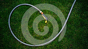 Garden hose lying on green grass at garden