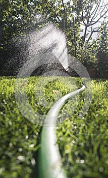 Garden hose and sprayer