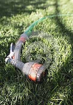 Garden hose and sprayer