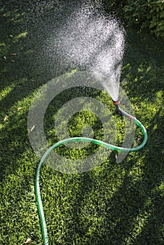 Garden hose and sprayer