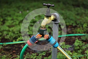 Garden hose tap splitter